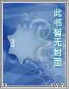 天空、晶石、光，交织的日子──猫与鸟